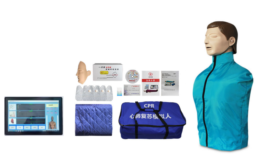 高级半身心肺复苏模拟人平板（无线版）