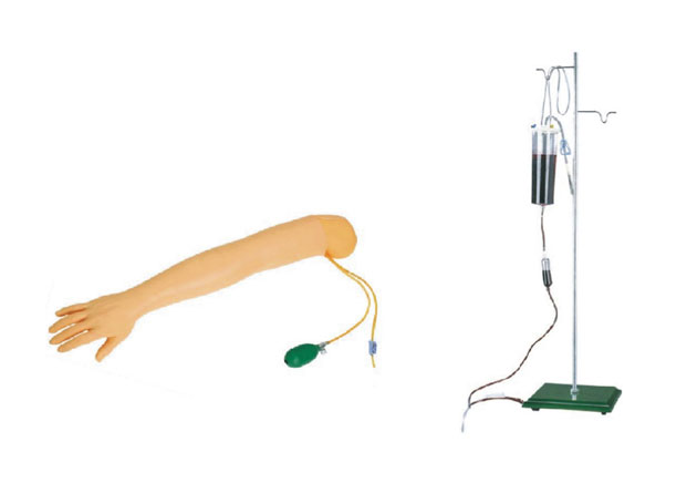 高级手臂动脉穿刺及肌肉注射训练模型